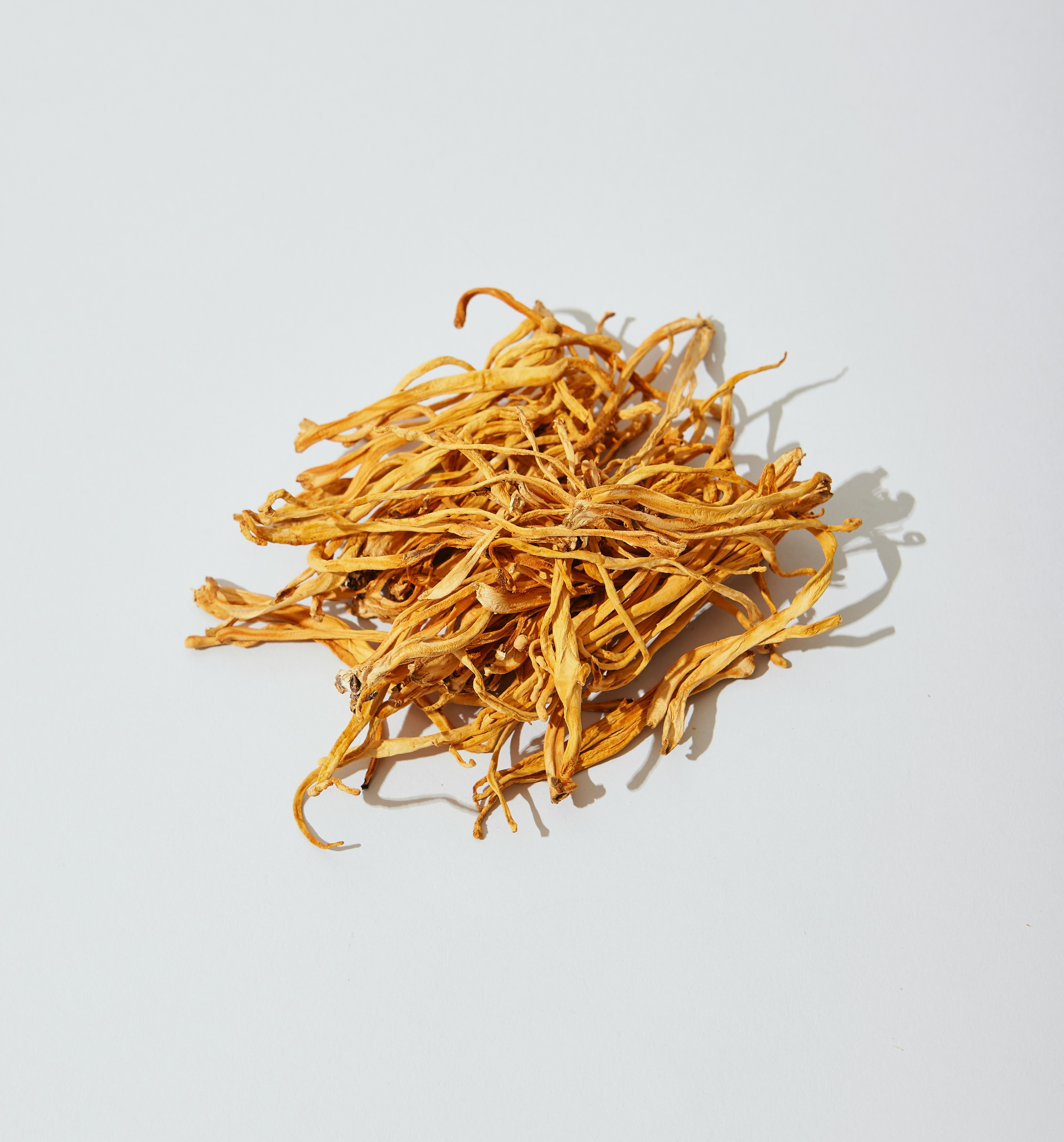 Cordyceps: energía sin estimulantes