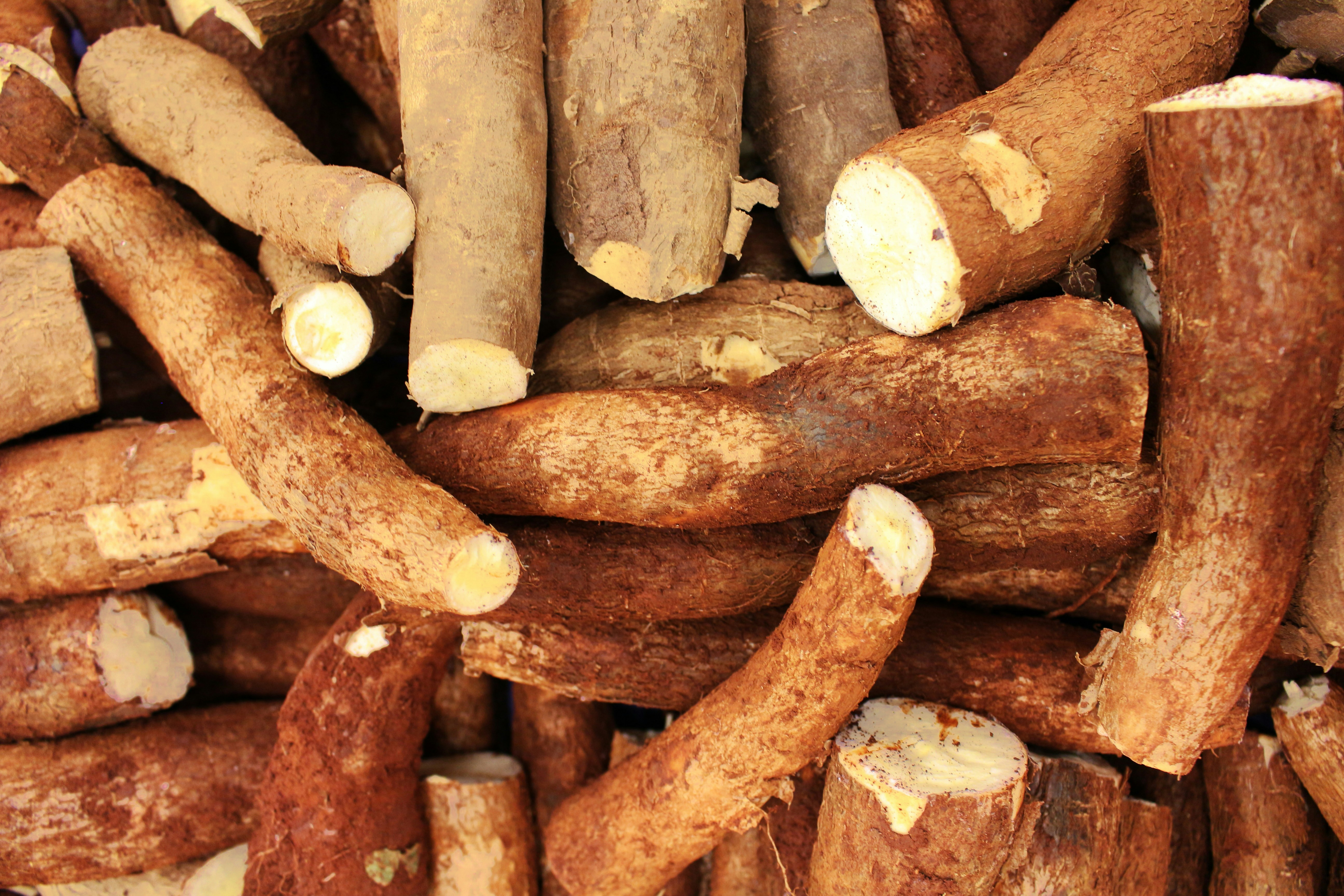Ashwagandha: cómo acompaña el estrés