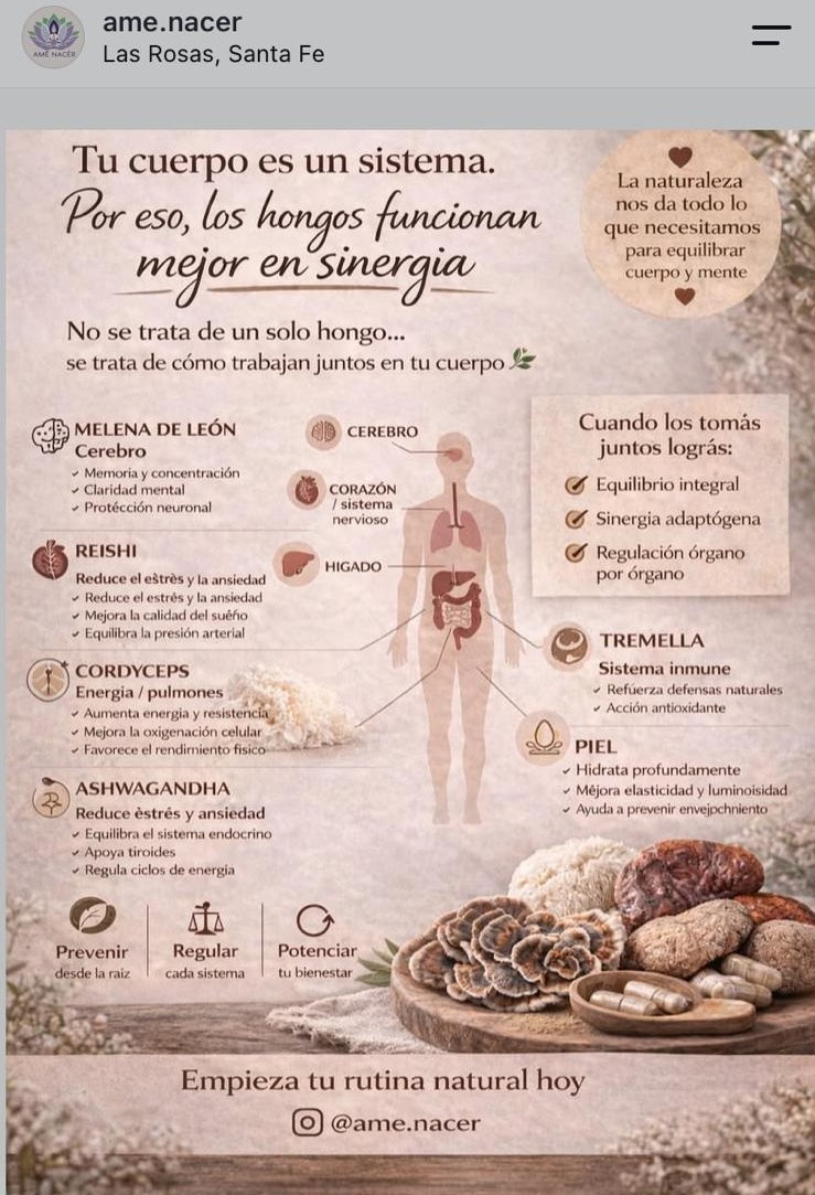 Publicación de Instagram de AMÊ NACÊR