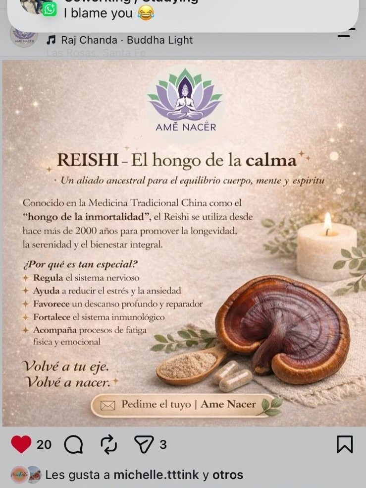 Publicación de Instagram de AMÊ NACÊR