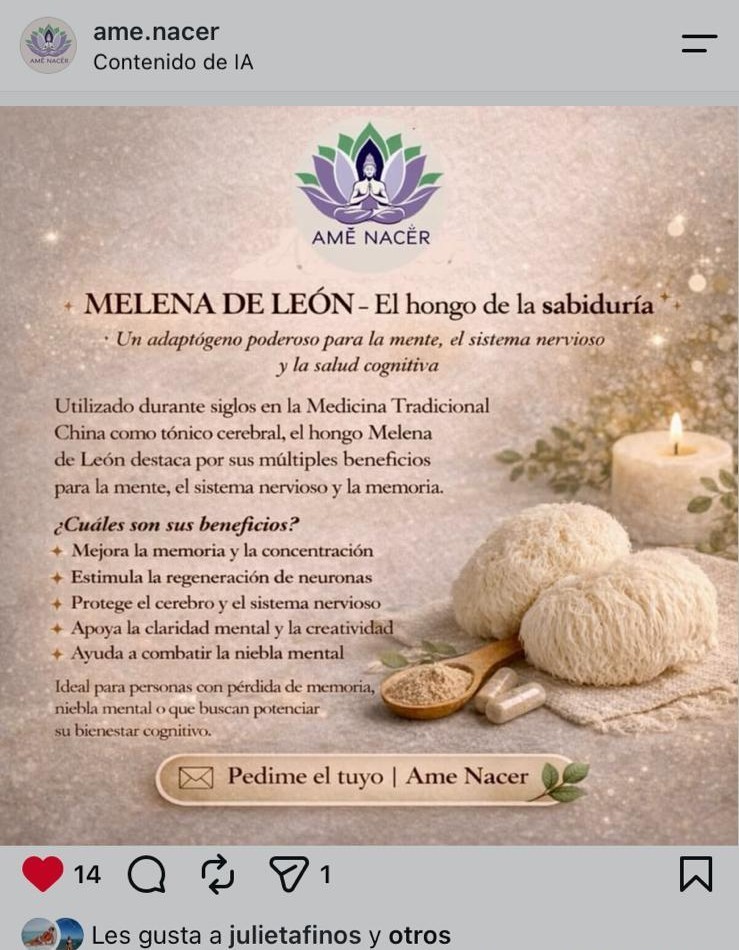Publicación de Instagram de AMÊ NACÊR